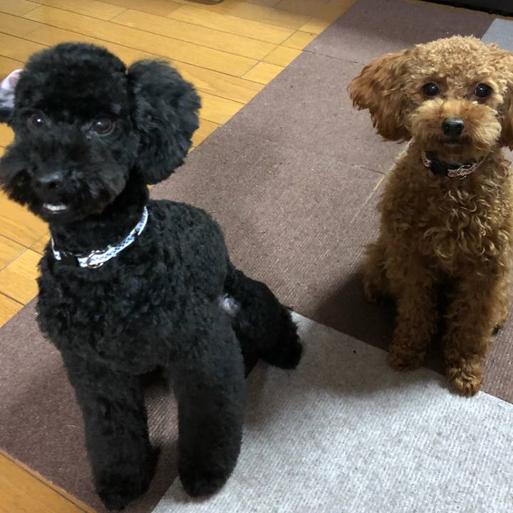 45b24a76 8679 4bd4 9a91 f67bf5e5be54 1512030125459