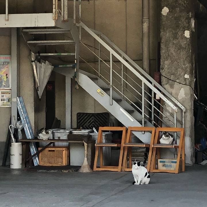 45b26dbb d114 46f1 bcd5 59533ce5e5b9 1589719501996