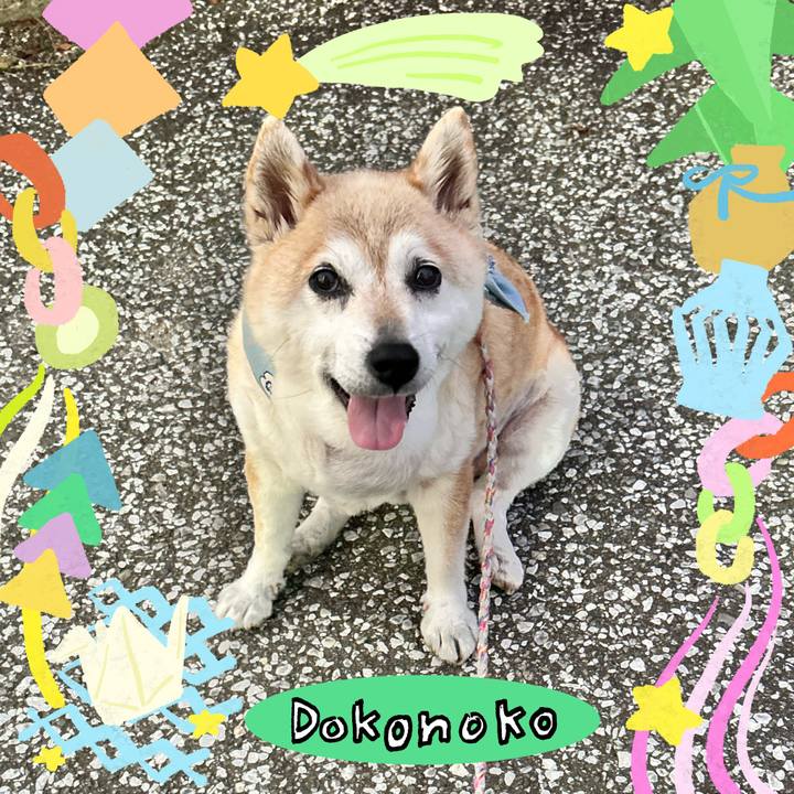 45b28b23 c7ea 4b23 b203 a195d244c78a 1755055694320