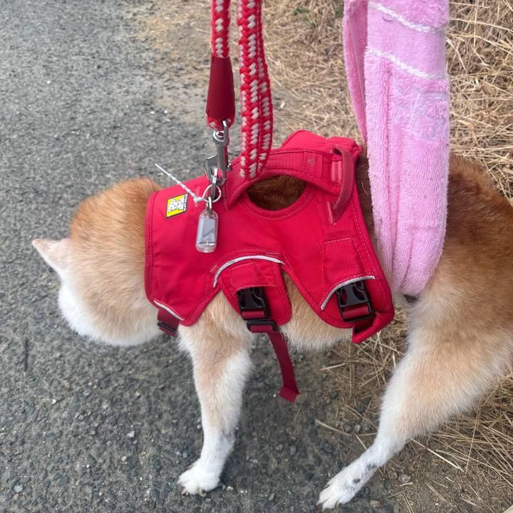 45b2b6e6 da2f 487d bc6f 29bac2f3455c 1765586259195