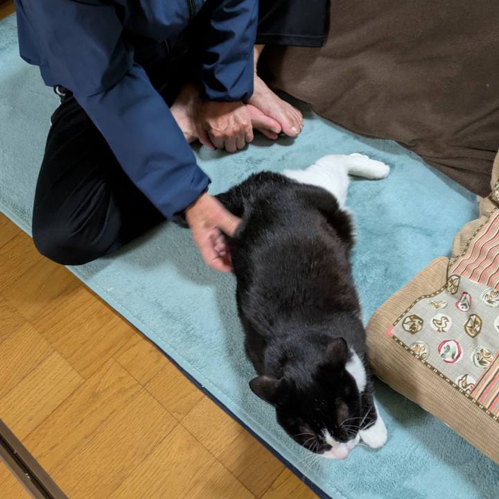 45b310ed f93d 4b9b a084 bebeab22a3fc 1765171182287