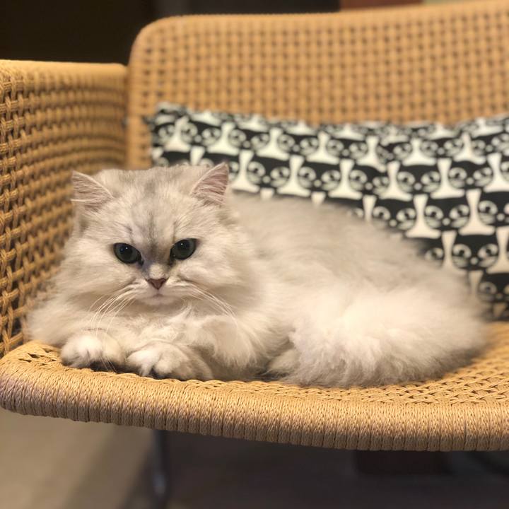 45b358db e936 44dc 9c7d b21a9254aa86 1617191670864