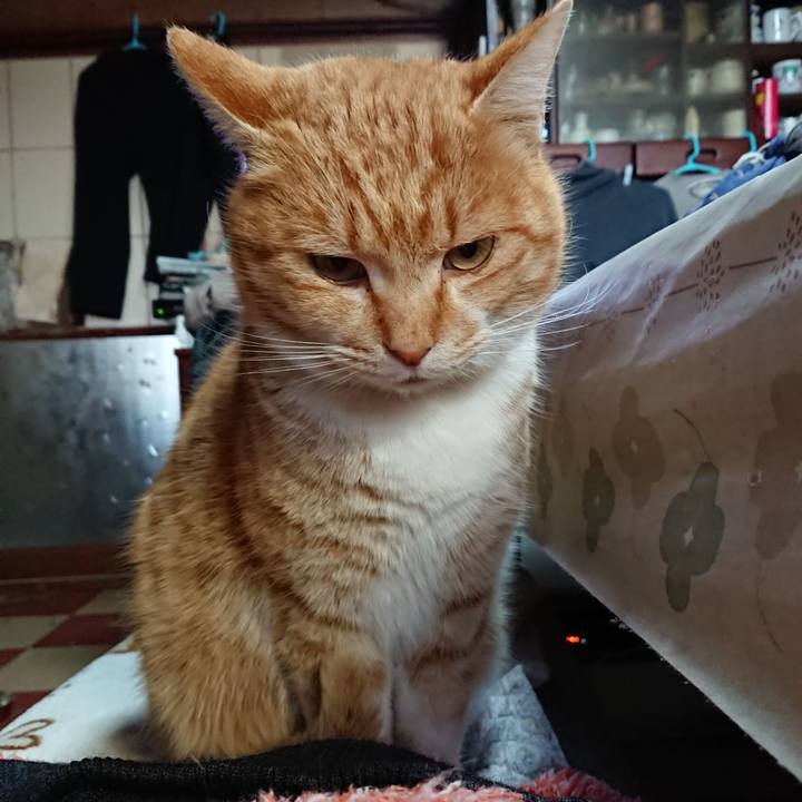 45b420e3 7029 412a a4c7 711b2d6b9117 1581473134507