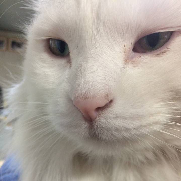 45b42abc 015a 4046 a6d5 111e8aaf47f0 1513117529075