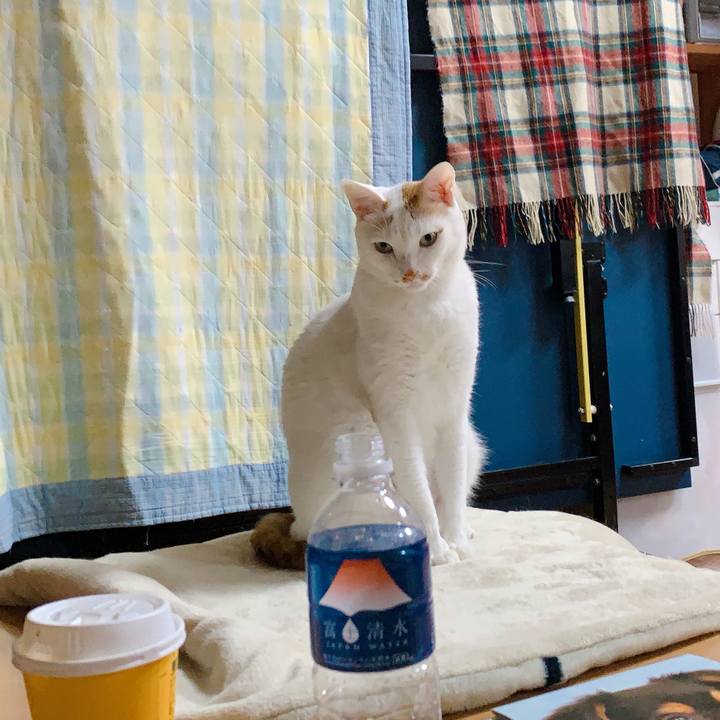 45b46e5c ba61 4b5f a9d5 e8a7f0d13ff1 1609324449336