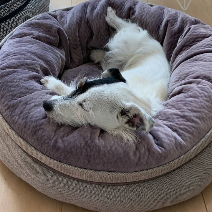 45b4bdb9 7351 4ea1 b71e f45734a5717d 1623215626700