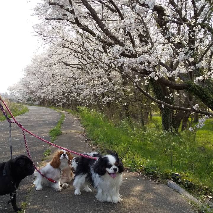 45b524f7 4af2 49f4 bda2 f9ed0d7746d0 1586326709025