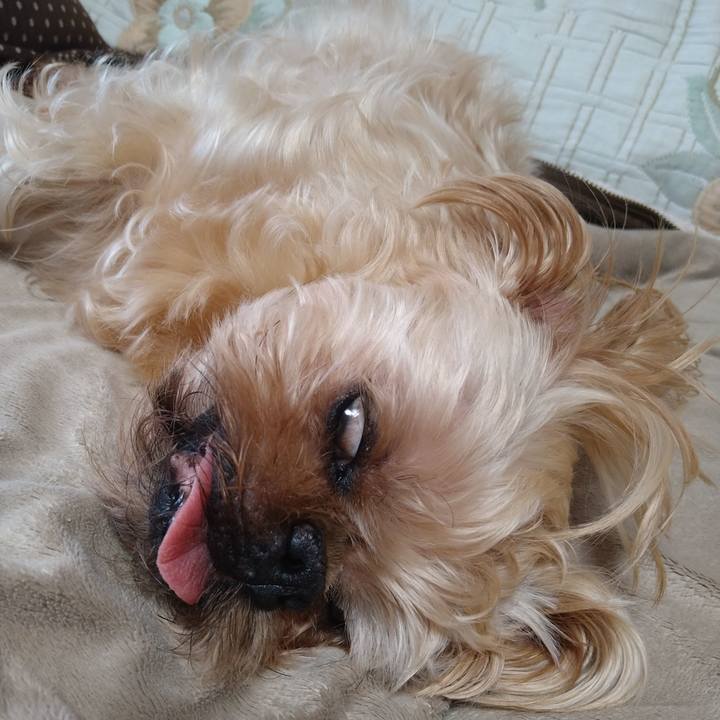 45b539bd f09a 44e8 8da0 d0501890215d 1616475558339