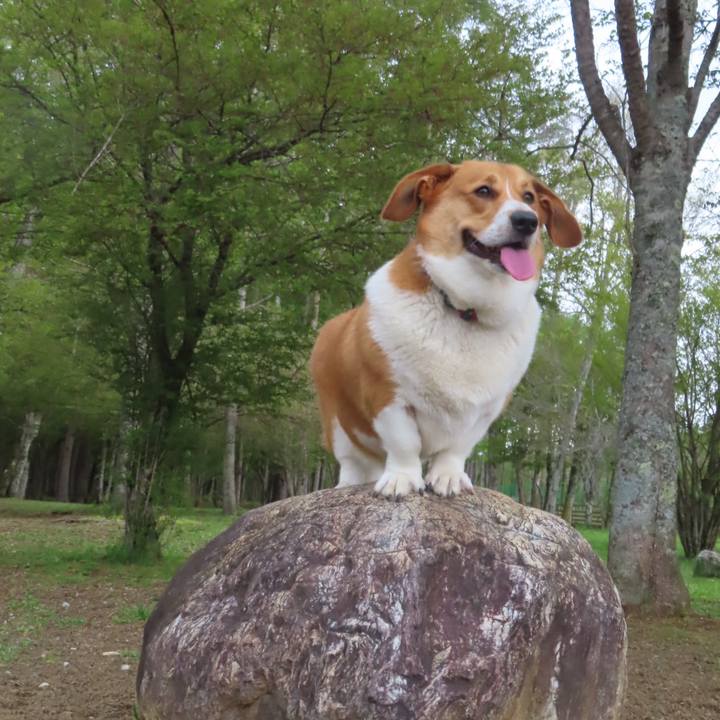 45b53c56 c4cc 4038 a1ae e4d340a6e36e 1653866518192