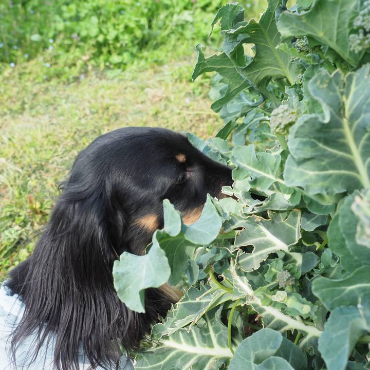 45b53fa4 d06c 4b44 bf38 9d1b91c63a14 1744185258594