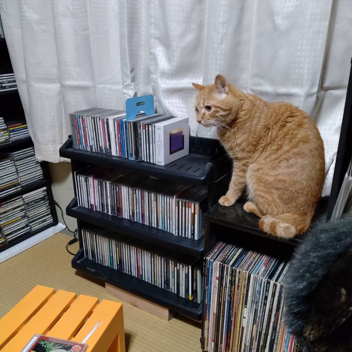 45b55dfa e737 4b91 990a 027d97a09964 1673352906749