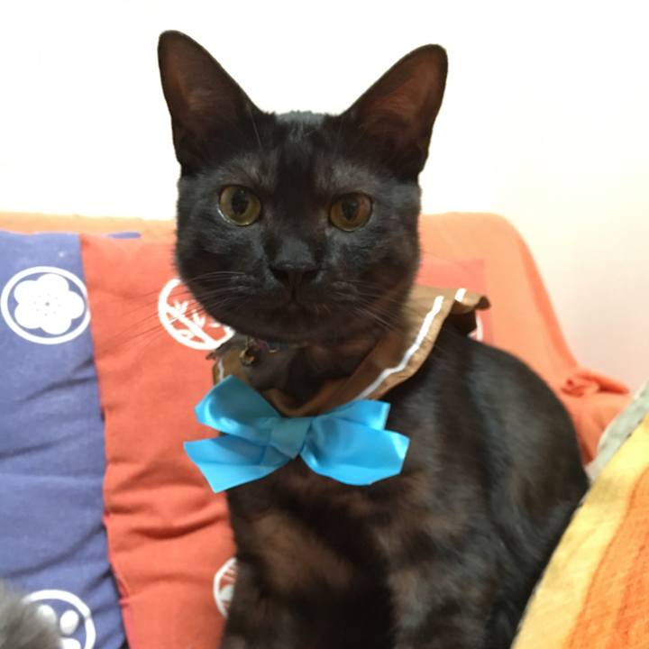 45b57423 89a6 4675 82ab 4fd61138bb6d 1548731667213