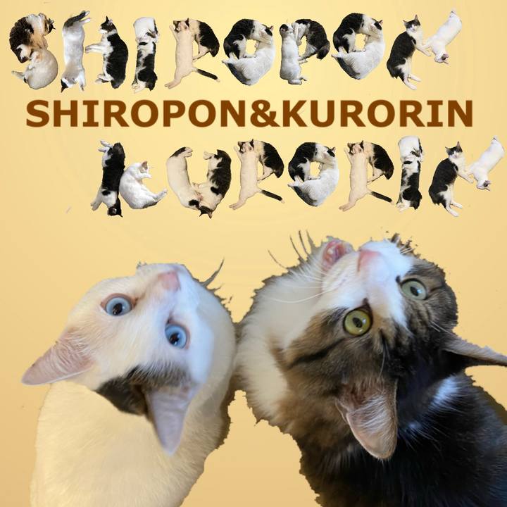 45b5948a ddf8 490c bb11 524fd45c4dde 1671322544897