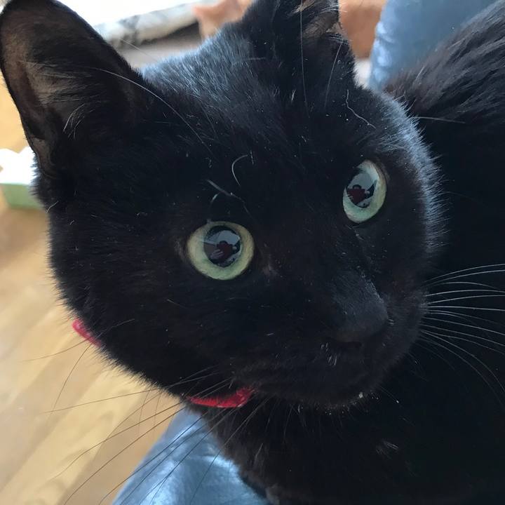 45b597e0 5f12 4c0e 97ea 014b0ed3dab0 1561251873101