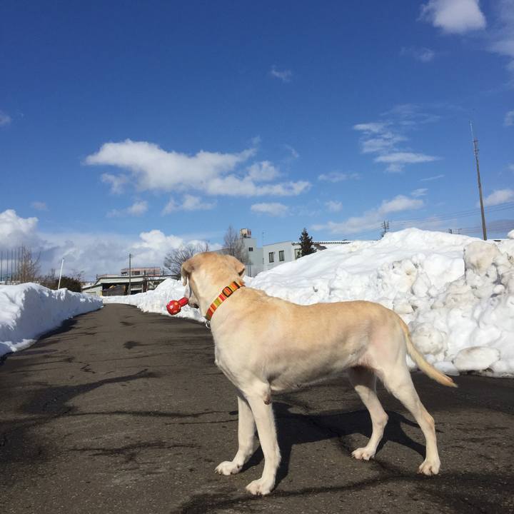 45b59dcb da76 4cf4 aaa0 67110f3301a7 1581403990367