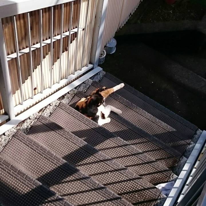 45b5a513 5685 4bf4 81fc 405d44d57777 1509669251457