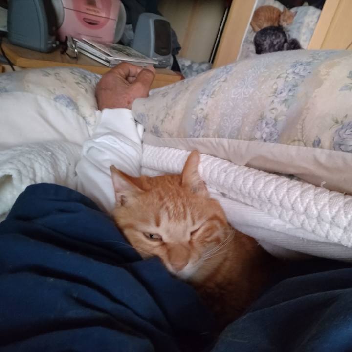 45b5ac05 c9e2 4791 ae55 1bcc3655eefa 1712957216741