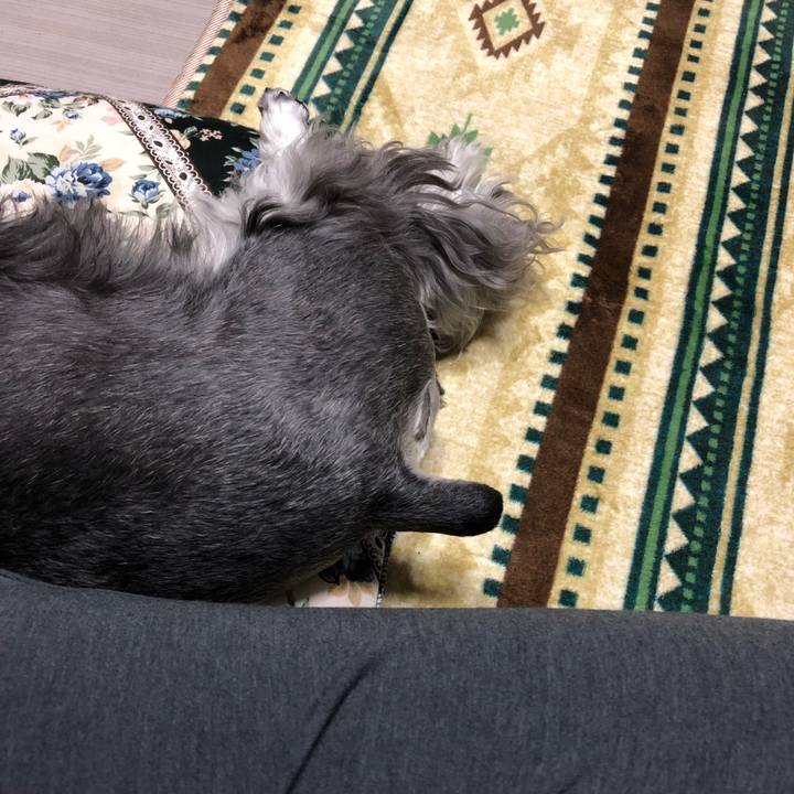 45b5b445 0655 4c3e 9ec4 5b421a43e3a4 1638529916883