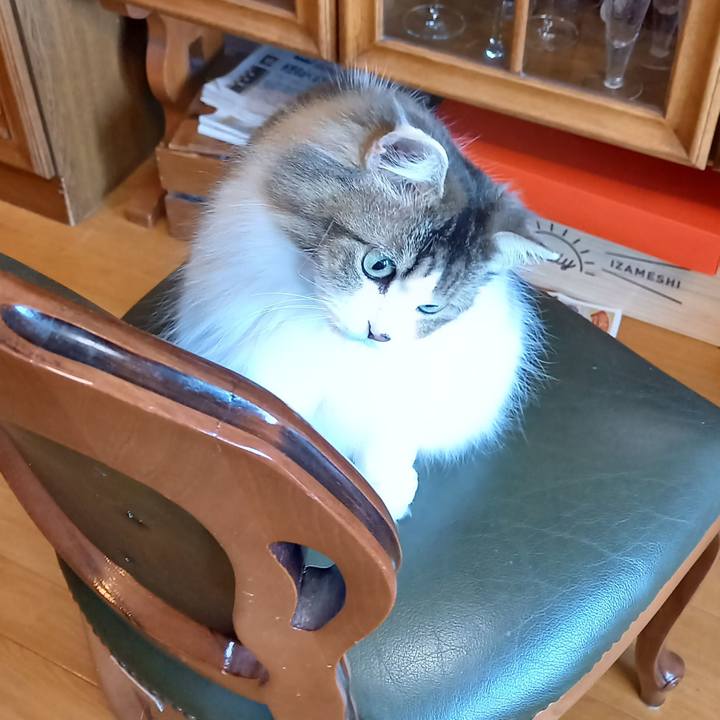 45b5e3ce 94f6 4340 bf77 e23d67759511 1610323924012