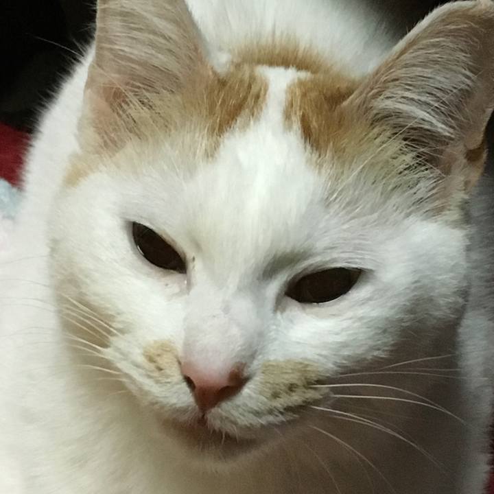 45b61ccd 6595 4edd 8639 1145bcb04fd9 1522679403640