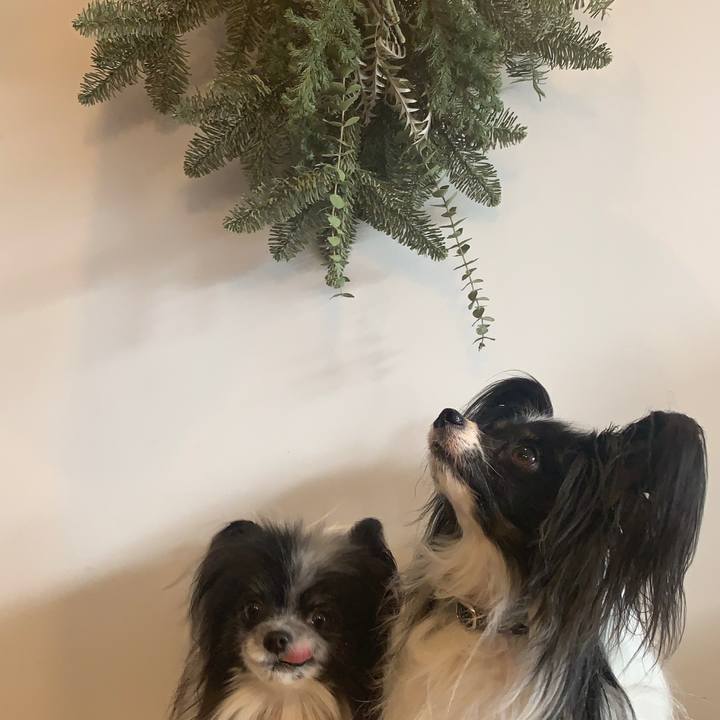 45b63266 a5e7 4a55 8139 ae5ffa2f6a30 1608797991685