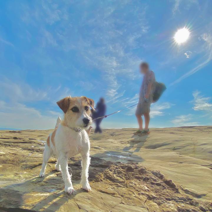 45b64c28 1f3f 4277 951f 201e3976e353 1636031290371