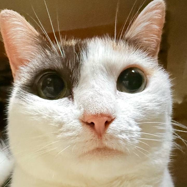 45b650cc e90c 4b81 a0a7 dd54baa862f5 1727747311009