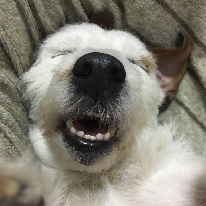 45b660b6 c7df 4f00 9a23 87e0e81686e8 1546336338209