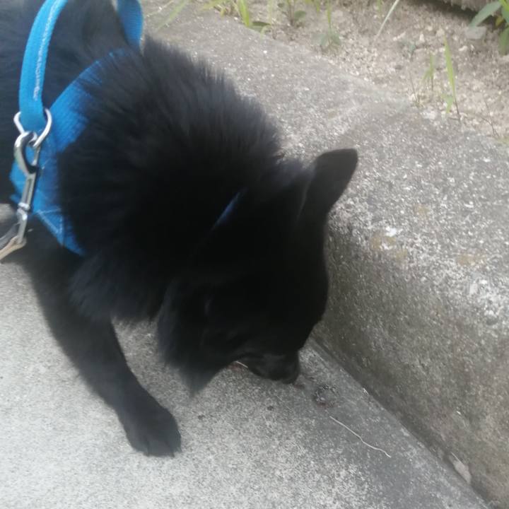 45b6b986 bcfe 4267 acc2 5b48abf94f93 1626861498330