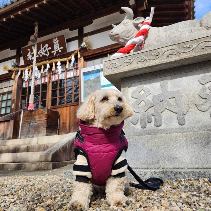 45b6eb99 7e54 451b 8723 e7c51604bdbc 1770778554519