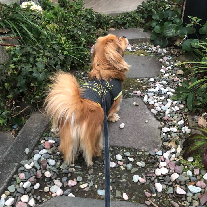 45b7274d 35d6 4d71 939a 6b03c8f94c50 1548283784378