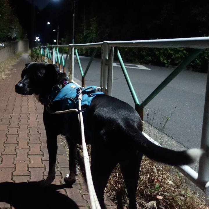 45b7310e 4f75 4e8b 9a61 ccdbbfa52eba 1636888323975