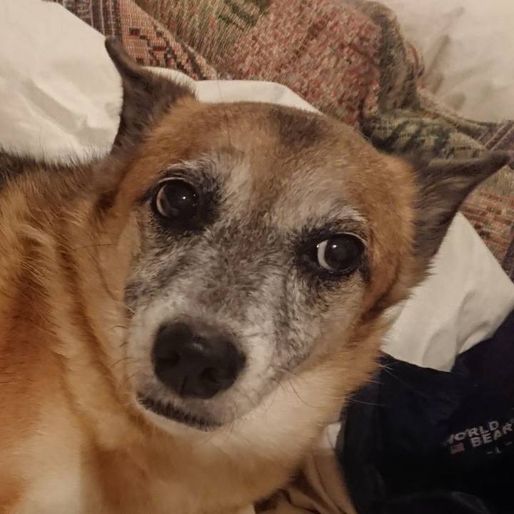 45b73880 3b75 4bed b99c a883d59d1660 1508281023365