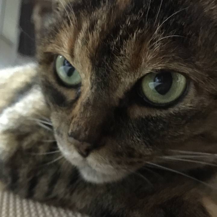 45b745f7 77f0 4143 8a48 68ec9efa0e03 1522409233245