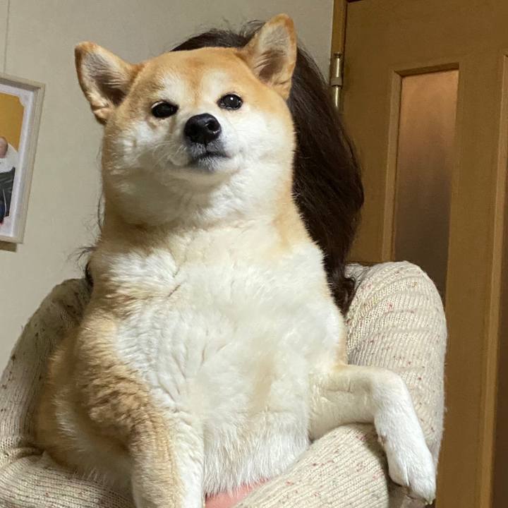 45b74cd8 8187 4fea a057 8787bfa7a62f 1583592976511