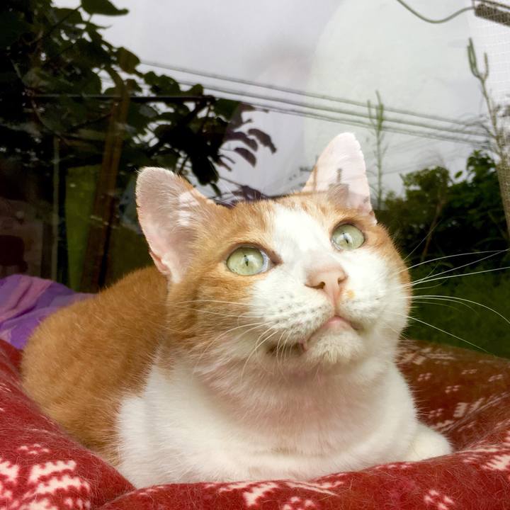 45b76195 cfe5 4b01 b618 d0a5fab6b91a 1568603366620