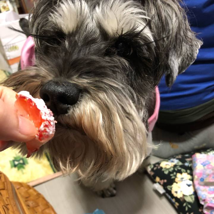 45b7cfee 733d 41ec 9c9f de4490440585 1584164578885