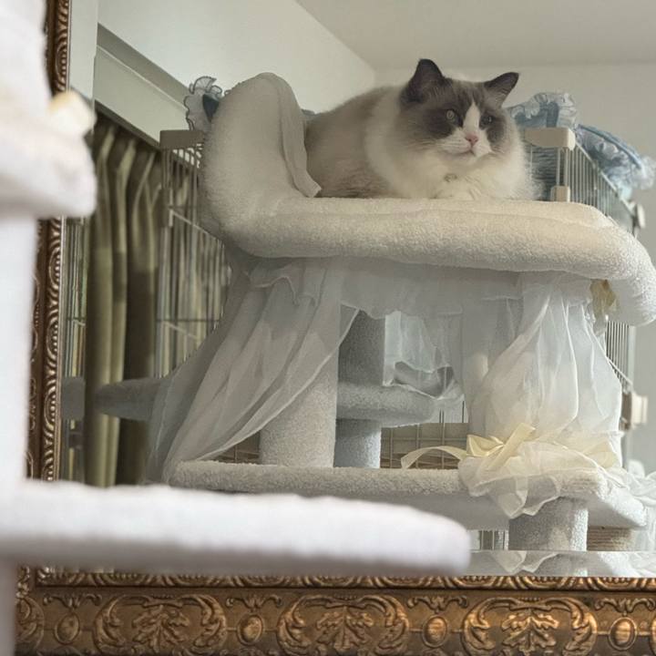 45b7ddad 3b14 48c5 beea d72f9c463ceb 1719751265196