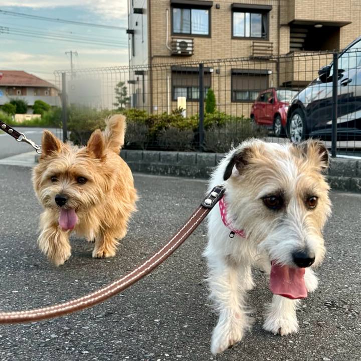 45b7eed6 93da 4e9e 849c 9bcb34f9902e 1751207609257