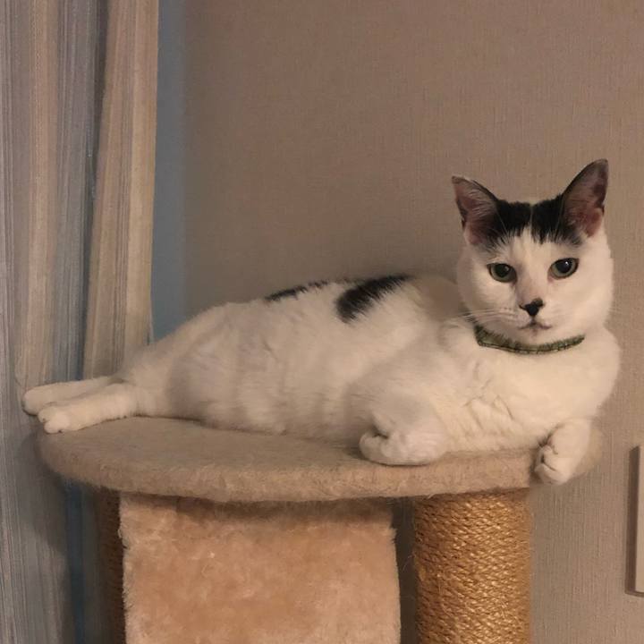 45b7f7f1 a2de 4958 8e4c 8813a01e4d12 1570797998640