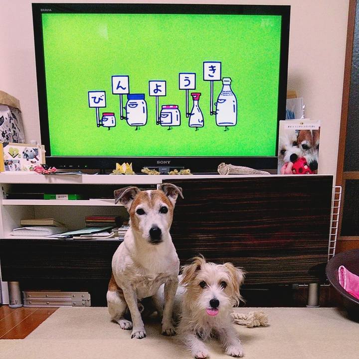 45b8138e 372e 47d0 8806 a7ef4a0a7114 1571955585893