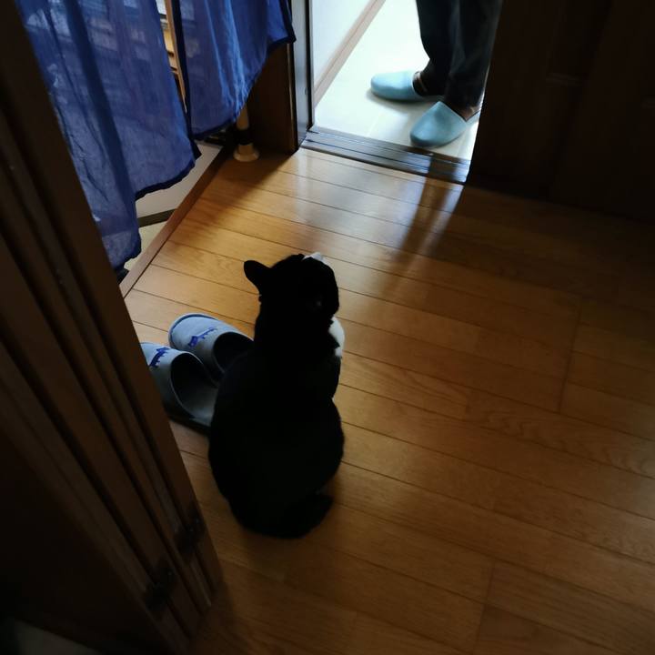 45b8273c 75bc 4f71 ab44 6f02d282c937 1647400140727