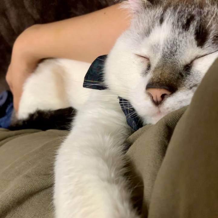 45b84045 068a 4a11 aa9e 7d0cc4e0d085 1590113261512