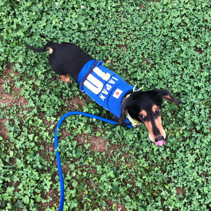 45b85497 9dcb 45f5 baf7 967697b5f9c6 1536533799999