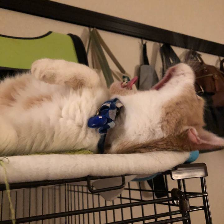 45b867d0 90da 4d4b b994 dc523b1eca29 1535111313338