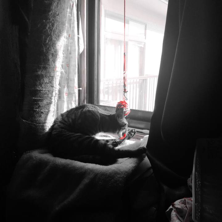 45b8ed51 aa10 443c a9a8 0d509a5f0235 1542677962021