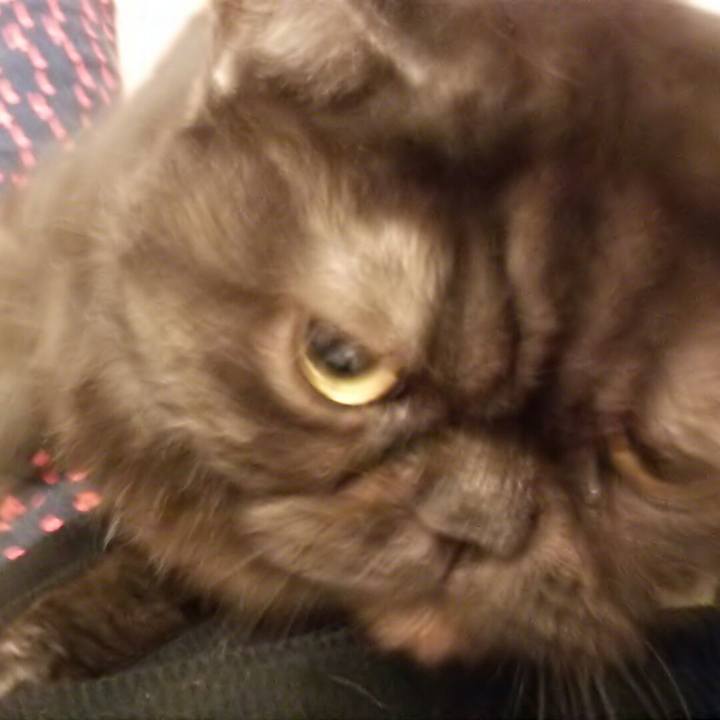 45b90ea3 4423 4bd5 9ee8 a2c861cb92ef 1563070455819