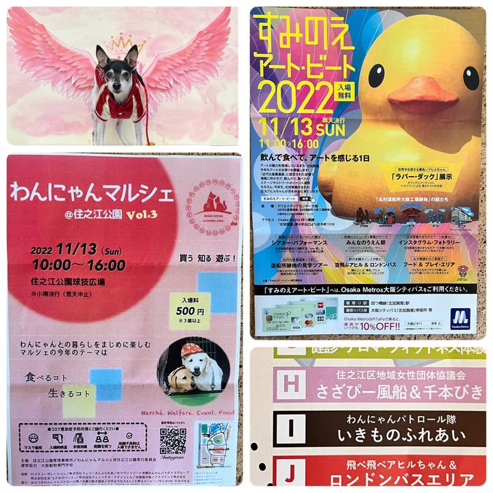 45b954d3 f3bc 4fc3 a0c6 180dd8f6a3c2 1668082145852