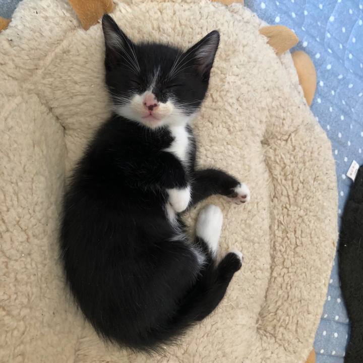 45b95c8f e481 464a 9515 883cc9d04563 1537594933184