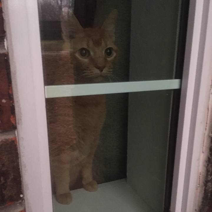 45b97f9d 5815 48d6 84fa e6598dc401ce 1645458745593